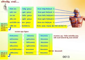 0013 ආයතන ලෙස විග්‍රහය.jpeg
